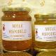 Miele di asfodelo