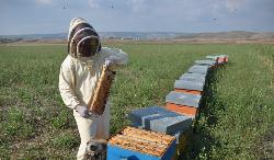 Visita agli apiari dell’Azienda situati nelle campagne della Marmilla