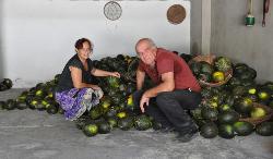 I Signori Rino e Marcella  Ollano, produttori di melone in asciutto di Lunamatrona