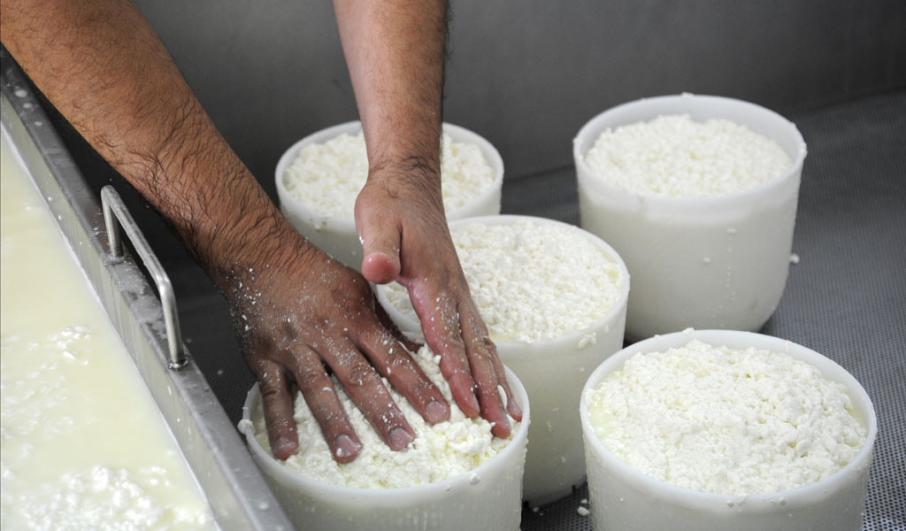 Risultati immagini per il formaggio lavorazione