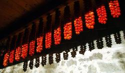 Bunch of small tomatoes hung in a porch