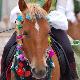 cavallo bardato al seguito del corteo religiosa