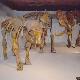 “Al tempo dei Mammut” il Tesoro Paleontologico della Russia