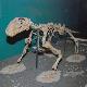 “Al tempo dei Mammut” il Tesoro Paleontologico della Russia