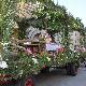 Tradizionale processione delle traccas che si svolge a Serramanna in maggio in occasione della Festa di Sant'Isidoro