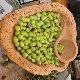 Gonnosfanadiga XXIV Sagra delle olive dell’agroalimentare e dei mestieri locali