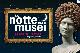 La notte dei musei