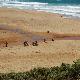 Ragazzi delle medie puliscono la spiaggia di Piscinas (Arbus)