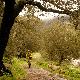 Mountainbike Ausflug in den Waldländer auf Monte Linas