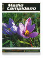 Medio Campidano - The Typical products