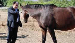 Il presidente con un cavallo