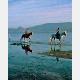 Escursioni a cavallo nella lagua dell stagno di Marcedì