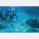 Il Diving Costa Verde organizza immersioni