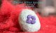 uova di lana di pecora sarda Edilana. Foto: Roberta Saba