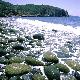 Typische Steine für die Küste von Capo Pecora