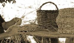 A craftsman making basketry