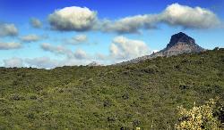 Vogelperspektive über dem Wald von Croccorigas und Monte Arcuentu