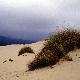 Dunes of Piscinas