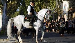 Cavaliere in costume tipico durante la festa di San Gregorio a Sardara